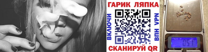 Купить  Петропавловск-Камчатский  ГАШ гарик 