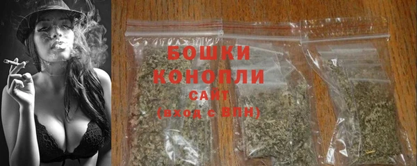амф Арсеньев