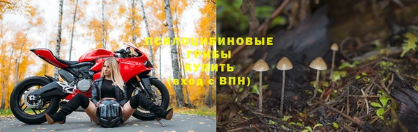 амф Арсеньев
