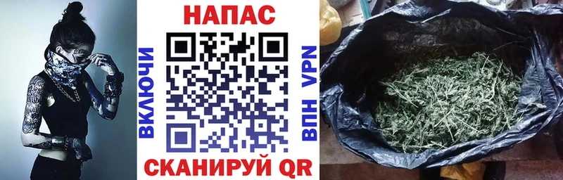 Купить где  Петропавловск-Камчатский  Конопля AK-47 